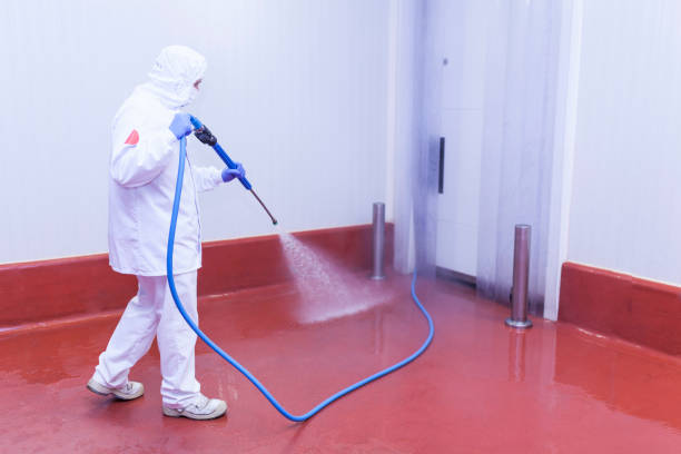 Professional Pressure Washing Services in Plumsteadville, PA